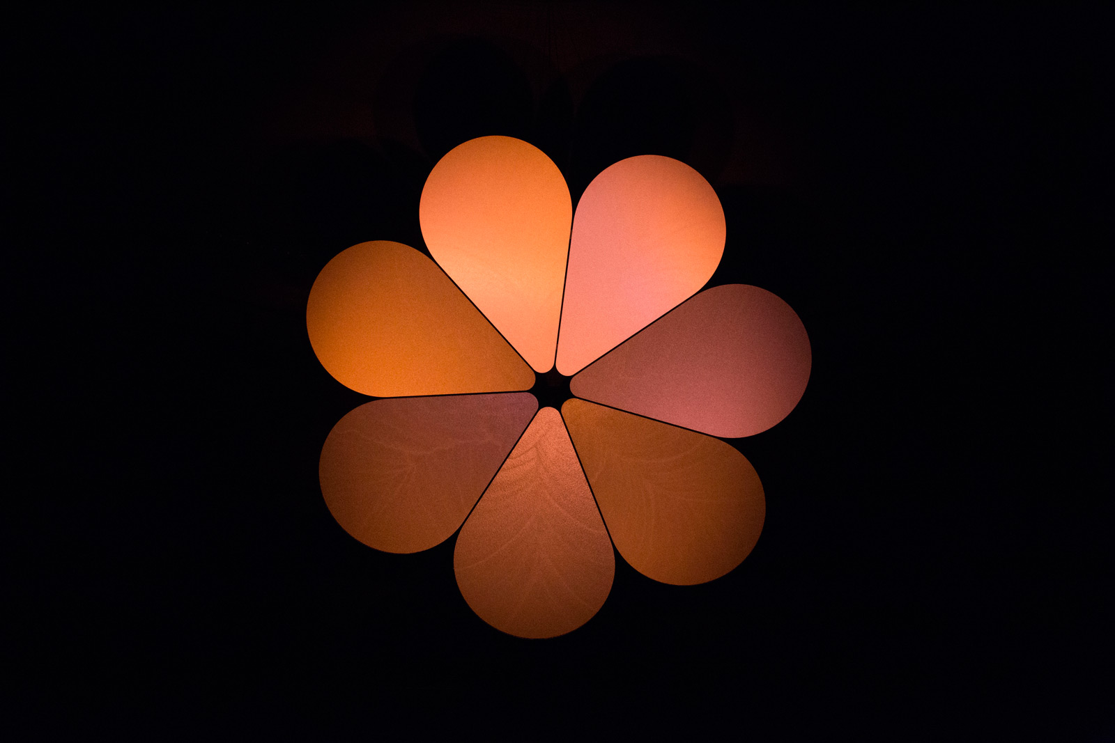 Vincent BEAURIN Flower, 2014. Vincent BEAURIN Flower, 2014.